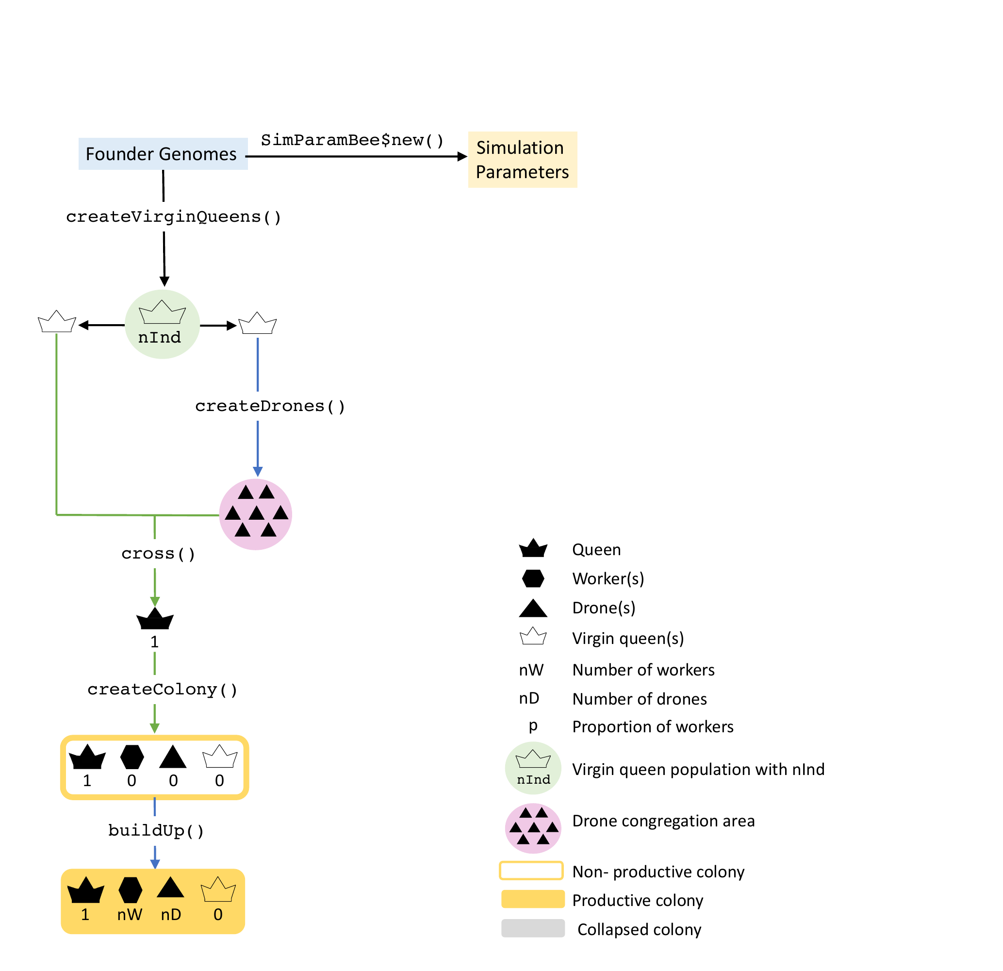 Simulation initiation.